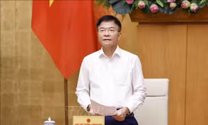 Khẩn trương hoàn thiện các văn bản pháp luật liên quan việc tổ chức bộ máy
