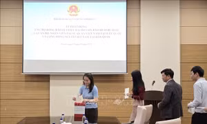 Ấm áp tấm lòng của cộng đồng người Việt Nam tại Hàn Quốc hướng về đồng bào bị bão lũ