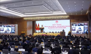 Hoàn thiện phương án sắp xếp tổ chức các cơ quan chuyên môn thuộc UBND cấp tỉnh, cấp huyện