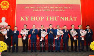 Sau sắp xếp, Hoa Lư là đô thị loại 1 trực thuộc tỉnh Ninh Bình