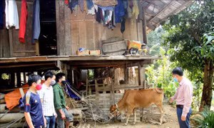 Đòn bẩy giúp đồng bào vùng biên thoát nghèo - Bài 3: Huy động nguồn lực phát triển vùng biên