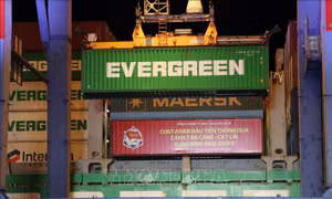 Tân cảng Cát Lái đón 7 chuyến tàu container trong đêm giao thừa