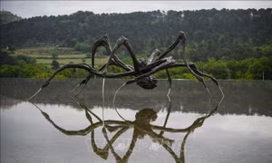 Tác phẩm điêu khắc của nữ nghệ sĩ Louise Bourgeois phá kỷ lục đấu giá