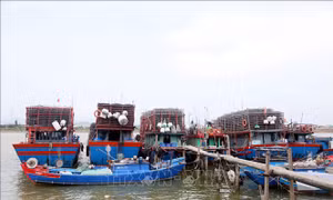 Bảo đảm an toàn đê điều, hồ chứa trước mùa mưa lũ