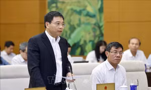 Bảo vệ quyền lợi người tiêu dùng và ổn định quản lý, điều tiết giá