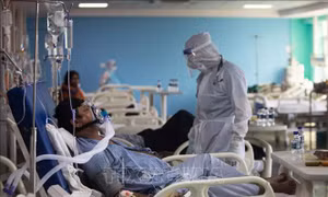 Mối liên quan giữa COVID-19 và khả năng sinh sản của nam giới