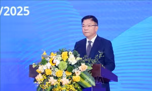 Phối hợp chặt chẽ với UNICEF, hướng tới tương lai tươi sáng hơn cho mọi trẻ em Việt Nam