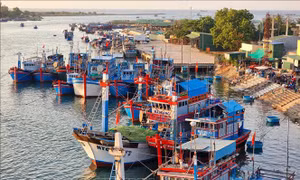  Nâng cao ý thức chấp hành pháp luật trong khai thác hải sản