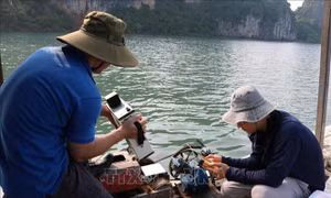 Lần đầu tiên tại Việt Nam: Mô hình AI kết hợp viễn thám giám sát chất lượng nước biển