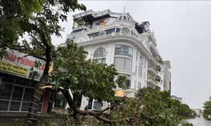 Đề nghị truy tặng Huy hiệu Tuổi trẻ dũng cảm cho quân nhân hy sinh khi làm nhiệm vụ phòng, chống bão số 3