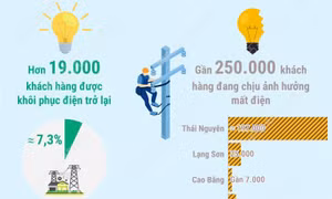 Hơn 262.000 khách hàng của Điện lực miền Bắc bị ảnh hưởng bởi hoàn lưu bão số 11