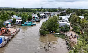 Lũ thượng nguồn sông Cửu Long lên nhanh, nguy cơ ngập úng, sạt lở bờ sông, kênh rạch