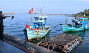 Nhiều chuyển biến tích cực trong khắc phục 'thẻ vàng' IUU