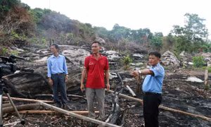 Quyết liệt xử lý vi phạm đất đai tại Phú Quốc