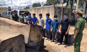 Khởi tố 8 đối tượng vi phạm các quy định về khai thác, bảo vệ rừng và quản lý lâm sản