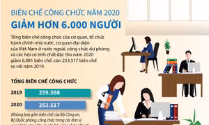 Biên chế công chức năm 2020 giảm trên 6.000 người