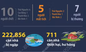 Thiệt hại do mưa lớn sau bão số 11 (tính đến sáng 9/10/2025)