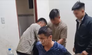 Khởi tố giám đốc doanh nghiệp sát hại nữ kế toán tại Bình Dương