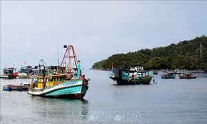 Nhanh chóng hoàn thành lắp đặt thiết bị giám sát hành trình tàu cá