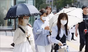 Nhật Bản ghi nhận nhiệt độ lần đầu tiên lên mức 40 độ C trong mùa hè này