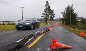 New Zealand: Thiệt hại do bão 'thế kỷ' Gabrielle có thể vượt 8 tỷ USD