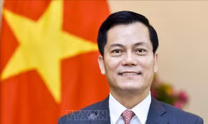 Tham khảo chính trị lần VIII cấp Thứ trưởng Ngoại giao Việt Nam - Brazil