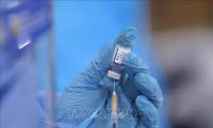 Lâm Đồng chưa triển khai tiêm vaccine COVID-19 cho học sinh lớp 6 chưa đủ 12 tuổi