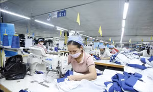 Đảm bảo an sinh xã hội ứng phó dịch COVID-19
