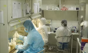 Những 'lá chắn thép' trong đại dịch COVID-19 - Bài cuối: 'Biệt đội' truy tìm virus SAR-CoV-2