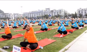 Nhiều hoạt động ý nghĩa nhân Ngày Quốc tế Yoga