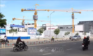 Biến tướng dự án nhà ở tại TP Hồ Chí Minh - Bài cuối: 'Xẻ thịt' dự án bệnh viện xây nhà cao tầng 