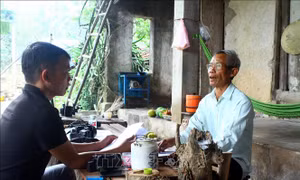 Xử lý sai phạm tại Quỹ Hỗ trợ nông dân ở huyện Quỳnh Lưu, Nghệ An