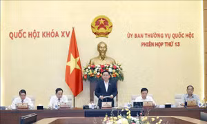 Chương trình giám sát của Ủy ban Thường vụ Quốc hội năm 2023