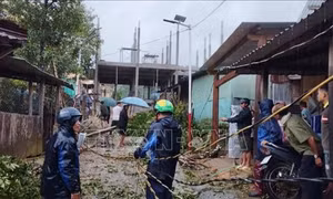 Kích hoạt mọi kịch bản phù hợp với đặc thù vùng cao để ứng phó mưa lũ