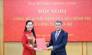 Đồng chí Bùi Thị Quỳnh Vân giữ chức Phó Trưởng Ban Tổ chức Trung ương