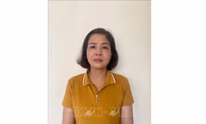 Khởi tố nguyên Giám đốc Sở Giáo dục và Đào tạo tỉnh Thanh Hóa