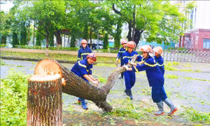 Bài học từ 'siêu bão'