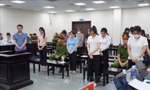 Che giấu doanh thu, hợp thức hóa dòng tiền trong vụ thực phẩm giả tại Công ty Herbitech