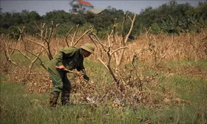 Giảm gánh nặng cho doanh nghiệp trong giai đoạn nước rút