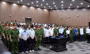Vụ 'Chuyến bay giải cứu': Bốn bị cáo bị tuyên phạt tù chung thân