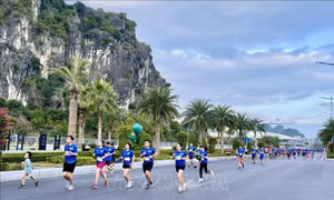 Giải Marathon Quốc tế Di sản Vịnh Hạ Long chính thức trở lại​