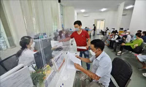 Tăng cường củng cố, xây dựng tổ chức cơ sở đảng, nâng cao chất lượng đội ngũ đảng viên