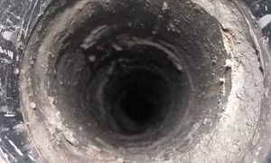 Năm người tử vong khi nỗ lực cứu con bò bị rơi xuống giếng