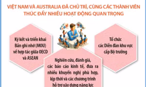 Việt Nam hoàn thành vai trò Đồng Chủ tịch Chương trình Đông Nam Á (SEARP) giai đoạn 2022 - 2025