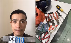 Bắt giữ đối tượng đốt trạm viễn thông tại Nghệ An