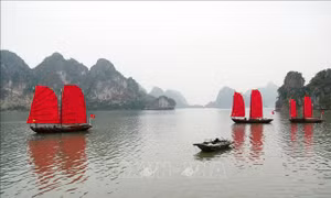 Siết chặt quản lý, tăng cường y tế và cứu hộ trên vịnh di sản
