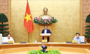 Thủ tướng Chính phủ phân công nhiệm vụ các Phó Thủ tướng