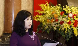 Lập Hội đồng Nhà nước xét tặng danh hiệu 'Thầy thuốc Nhân dân', 'Thầy thuốc Ưu tú' lần thứ 14