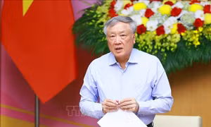 Bổ sung, kiện toàn thành viên Ủy ban Quốc gia về chuyển đổi số