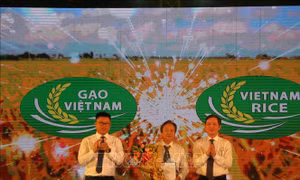 Công bố logo thương hiệu gạo Việt Nam